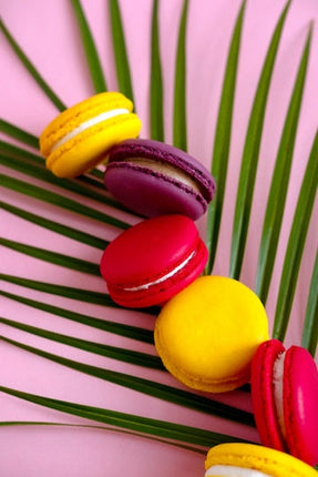 Collection image for: Biscuits & Macaroni