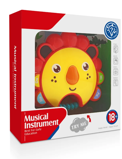Musical instrument toy