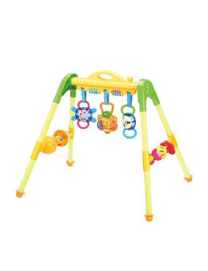 Baby Fitness Frame