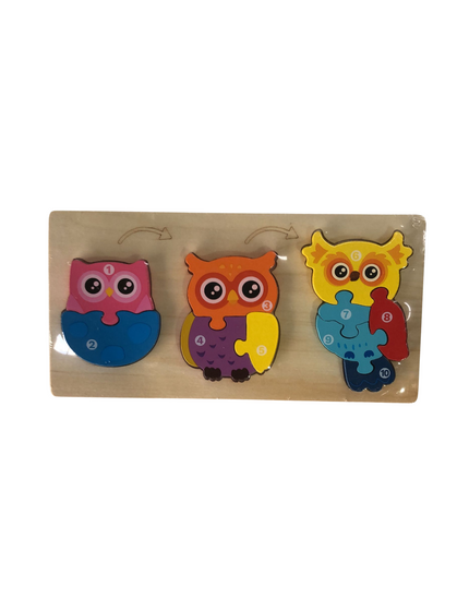 Owl Lifecycle Puzzle