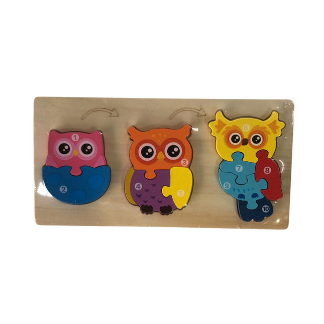 Owl Lifecycle Puzzle